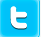 twitter icon